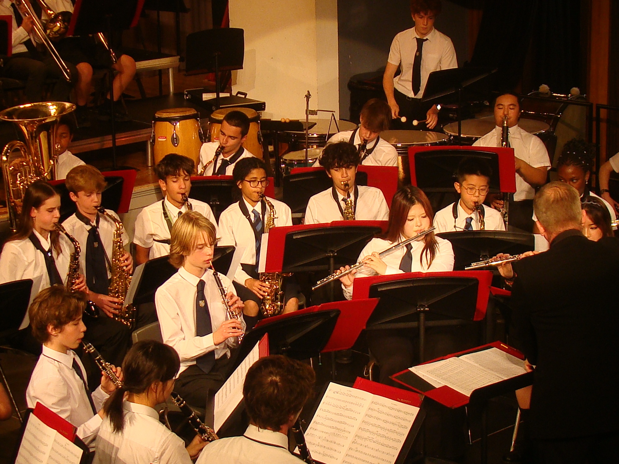 Yueyue during a concer
