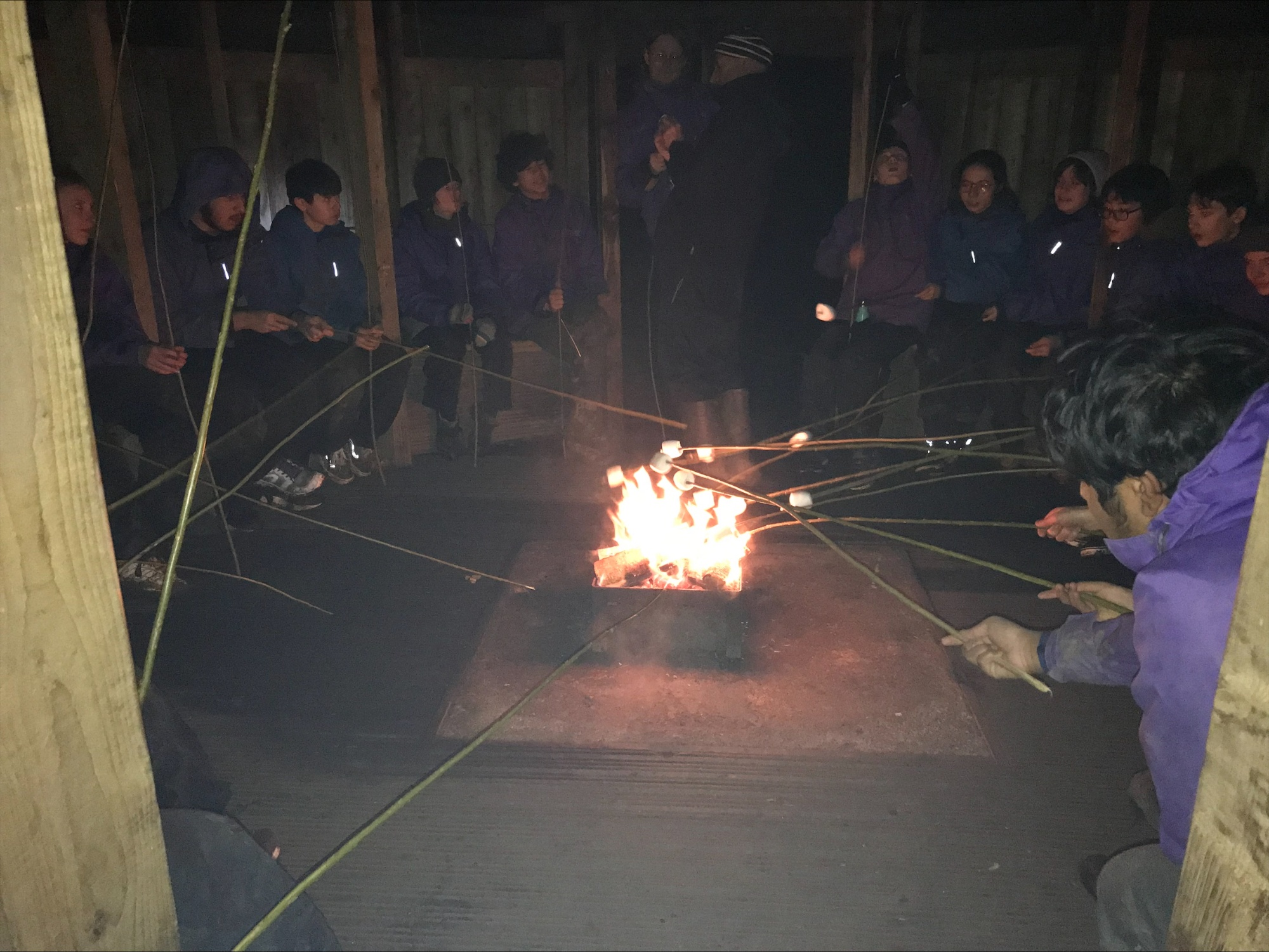 Eating marshmallows around campfire