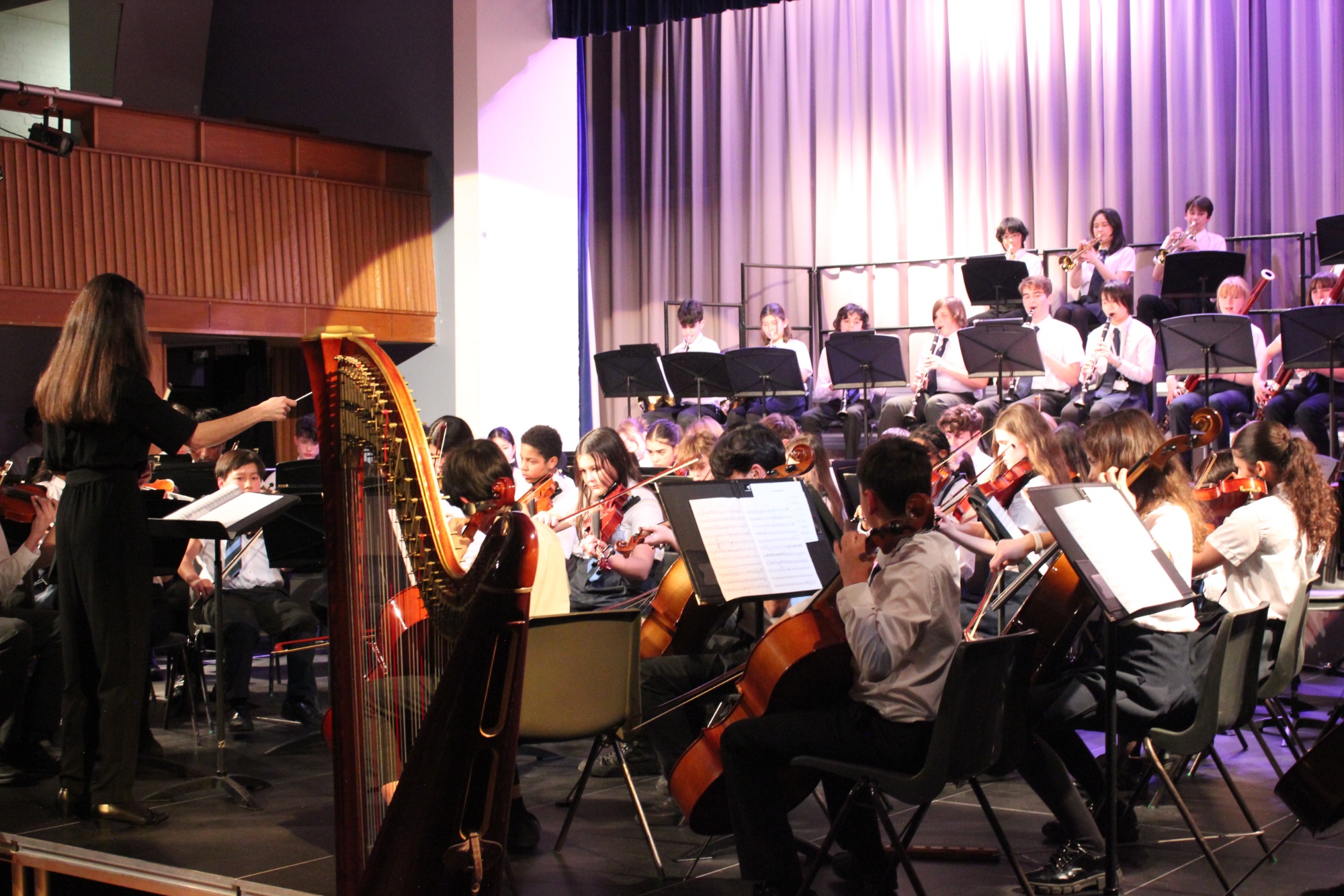 Sinfonia orchestra on stage in Great Hall