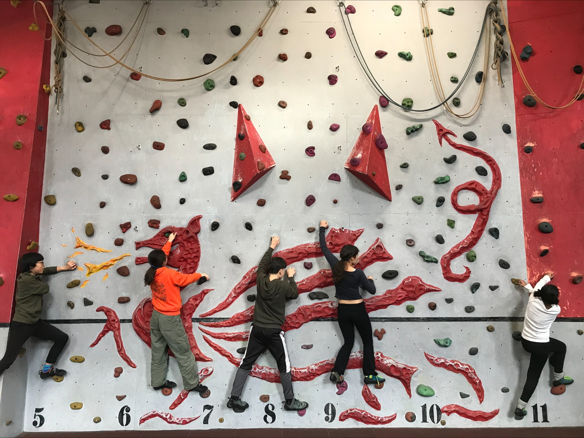 Five students on a climbing wall