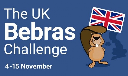 Bebras challenge's logo